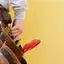 Handyman repair service in Toledo, OH for home fixes and improvements