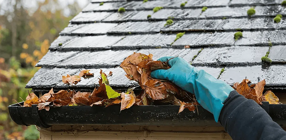 Gutter cleaning technician clearing wet leaves from roof gutters in Toledo, OH